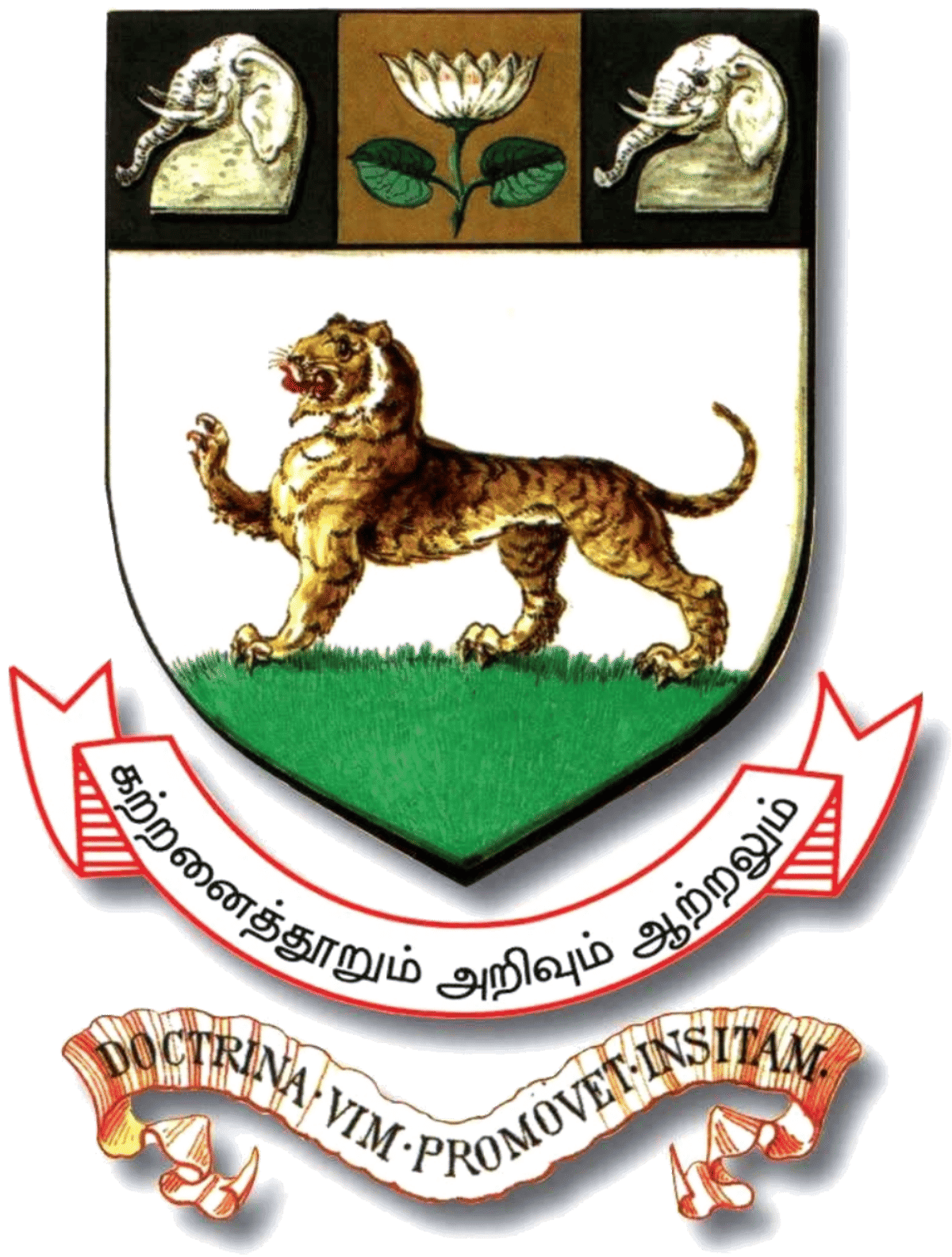 College Logo
