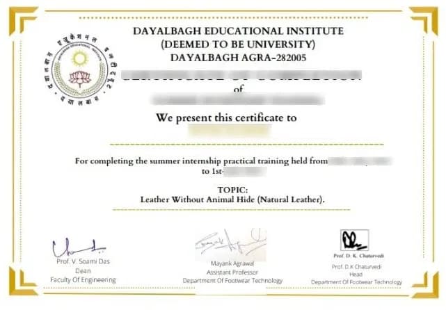 Sample certificate — Dayalbagh Educational Institute